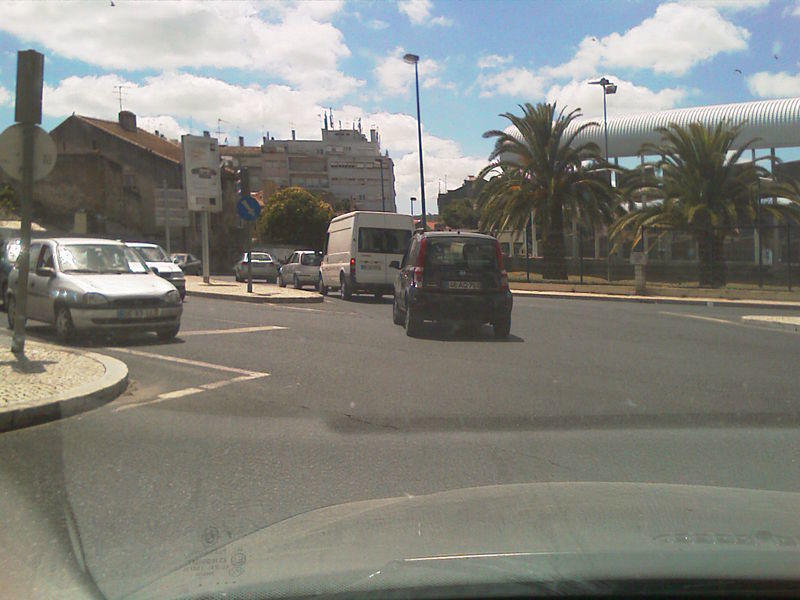IMAG0055.jpg