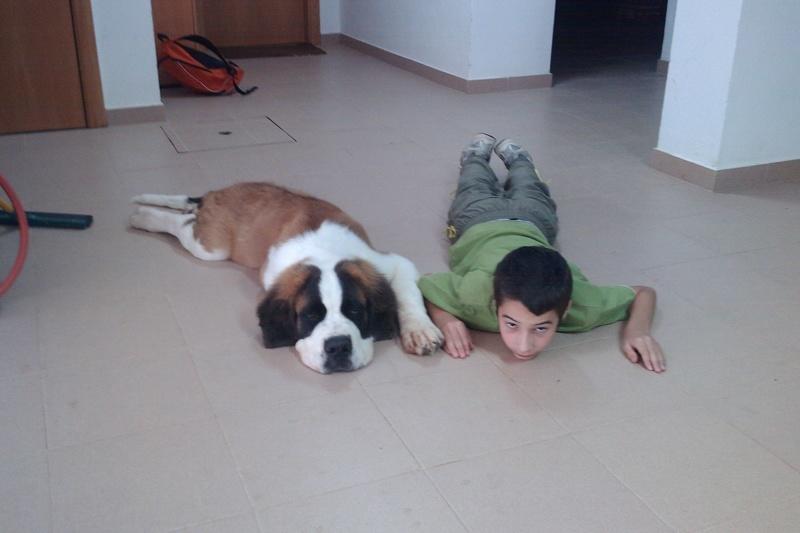 IMAG0057.jpg