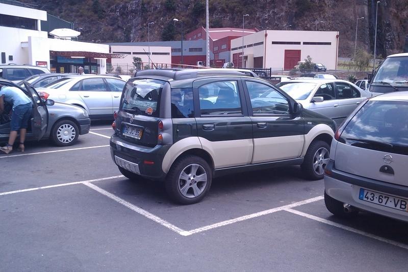 IMAG0081.jpg