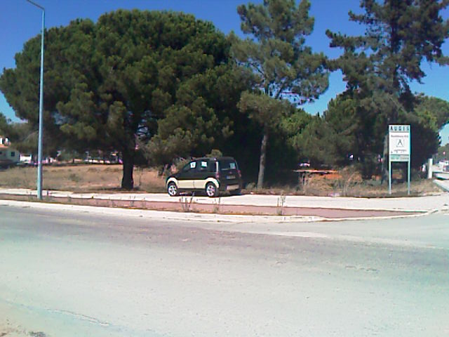 IMAG0084.jpg