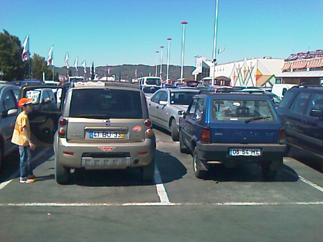 IMAG0090.jpg