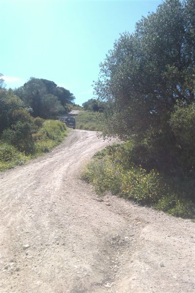 IMAG0156