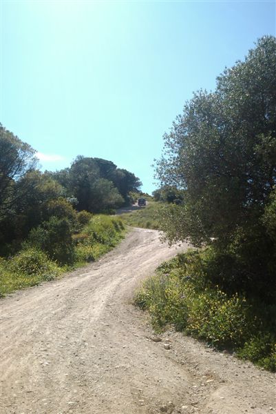 IMAG0157