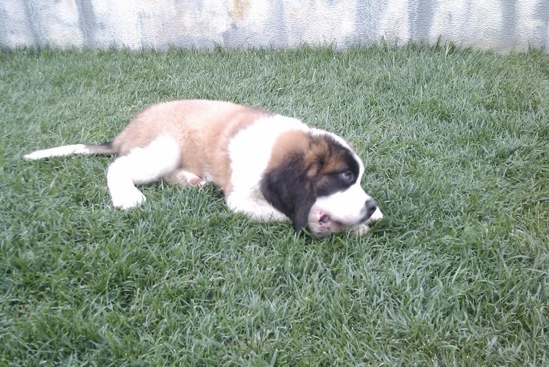 IMAG0210.jpg