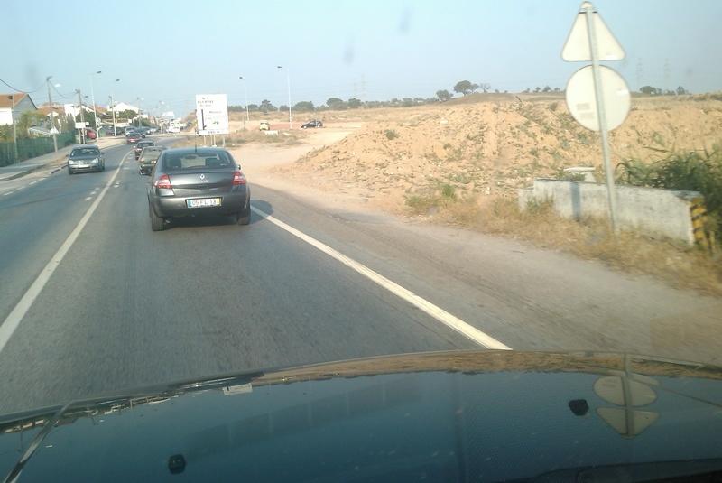IMAG0218.jpg