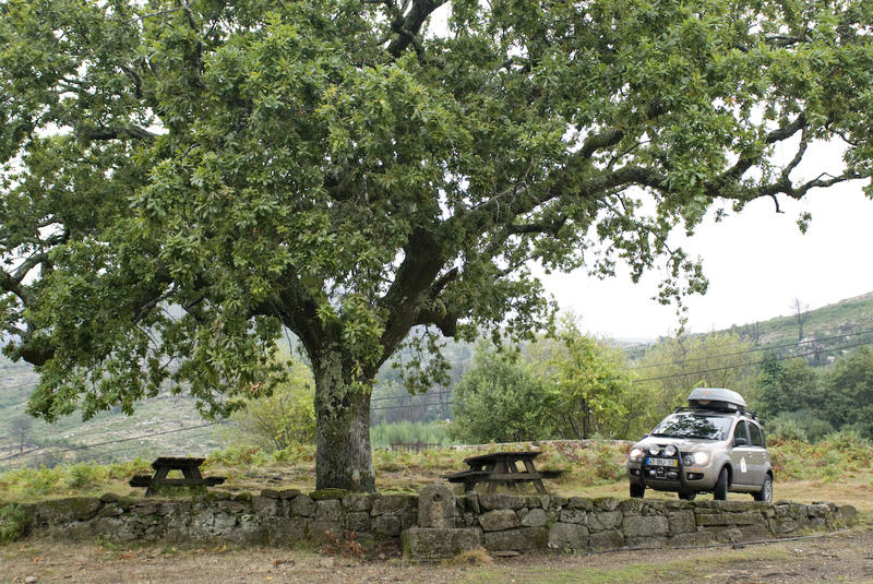 10193-20080903.jpg