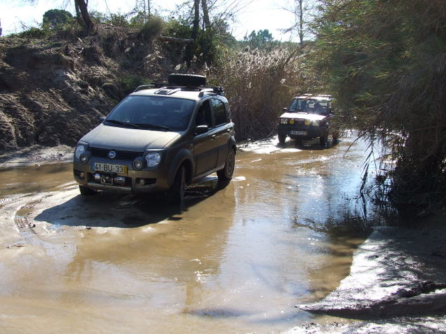 DSCF4766.jpg