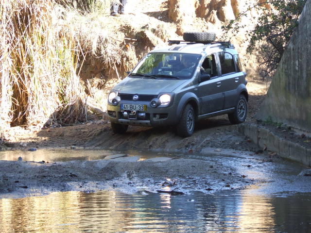 DSCF4775.jpg