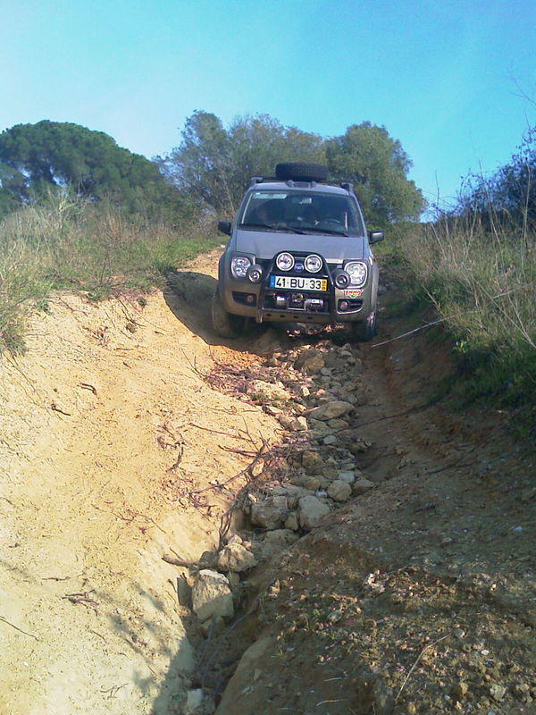 IMAG0221.jpg