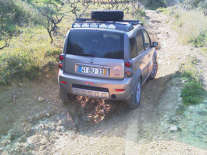 IMAG0222.jpg