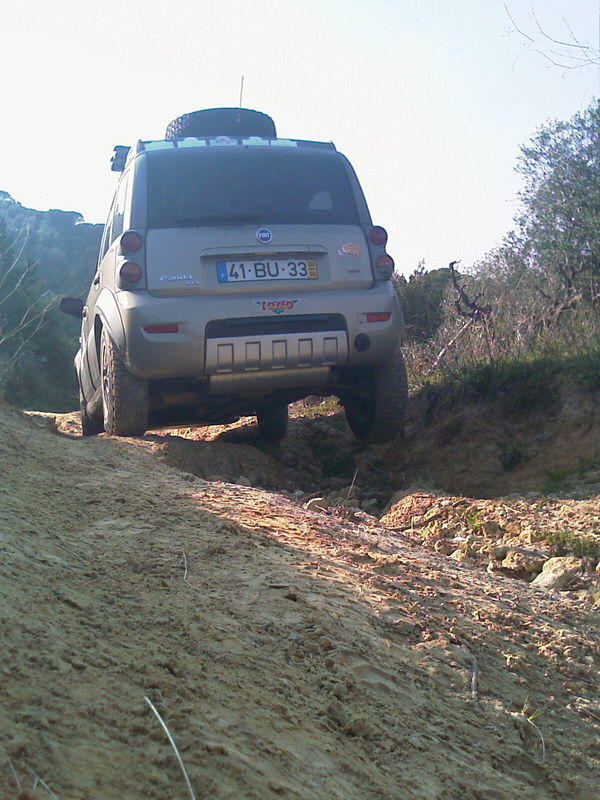 IMAG0224.jpg