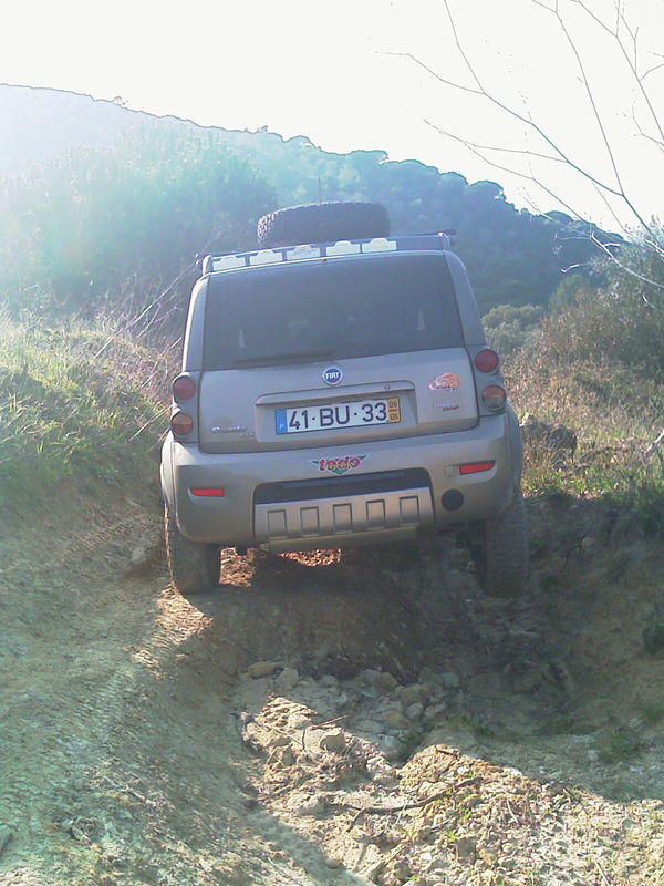 IMAG0225.jpg