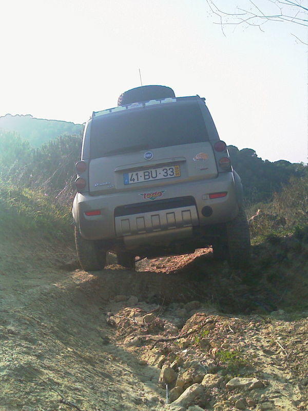 IMAG0226.jpg