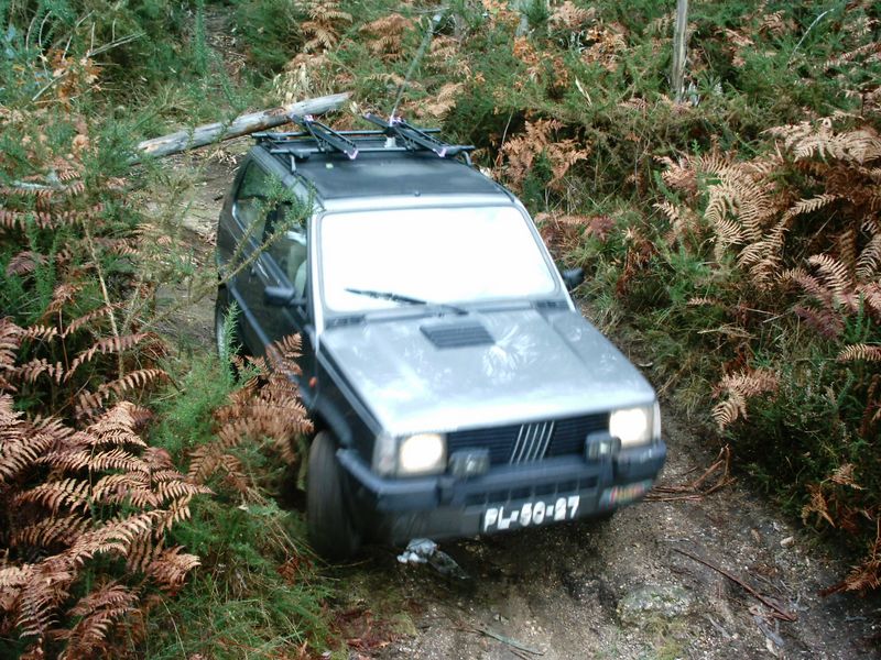 ex (78).JPG