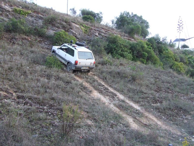 DSCF2246.JPG