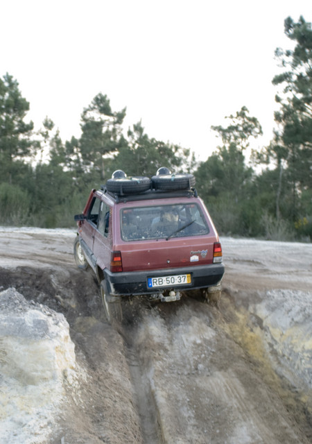 porelo4.jpg
