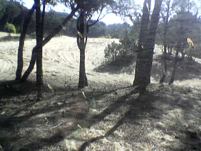 Image003
