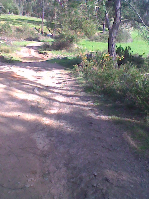 Image0078