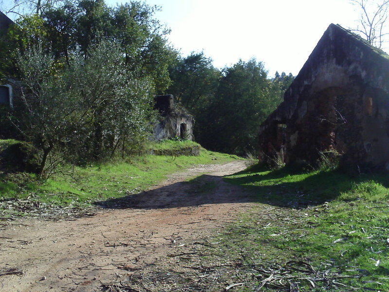 PICT0080