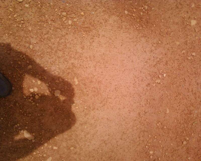 Photo-0001.jpg