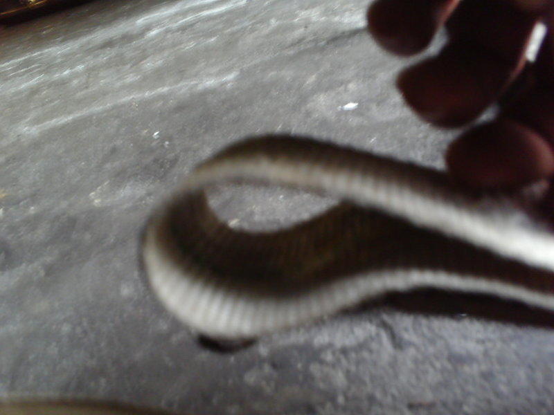 PICT0072