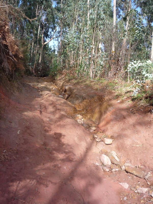 Passeio 19-12-2009 009