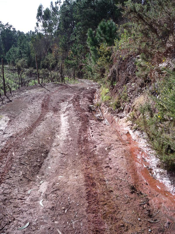 Passeio 19-12-2009 010