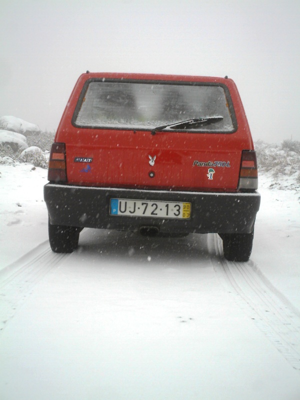 PANDA NEVE.JPG