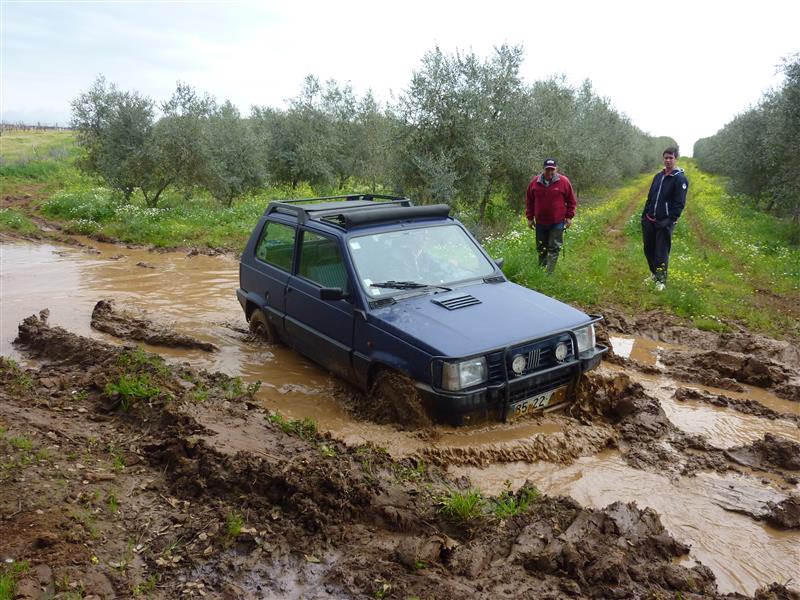 P1140730 M