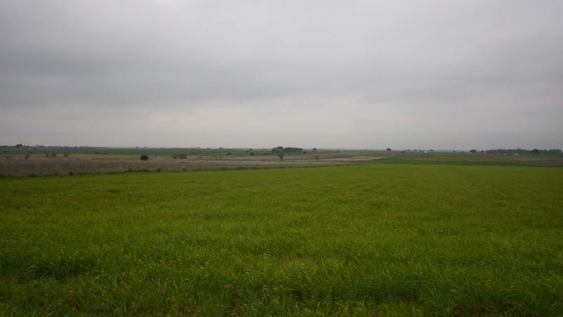 bmps (128)