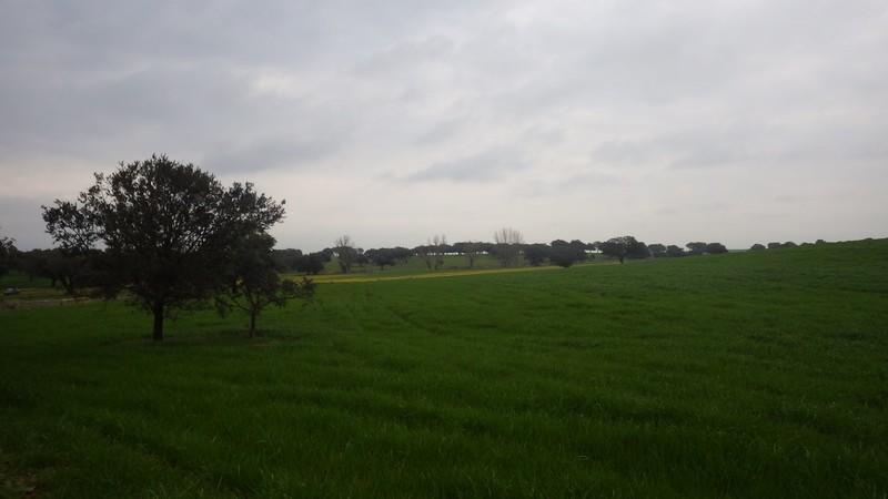 bmps (132)
