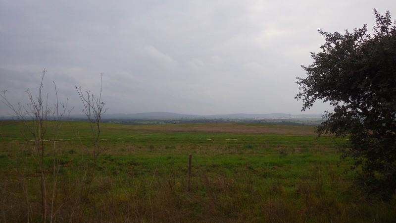 bmps (41)