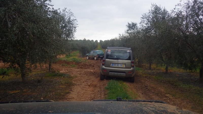 bmps (50)
