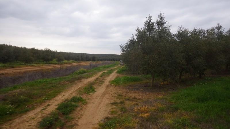 bmps (51)