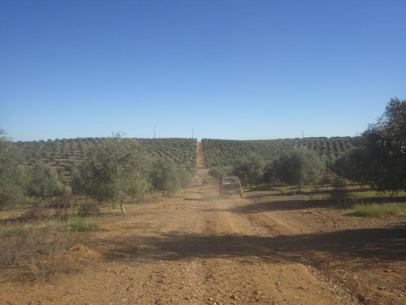 BMPS2346