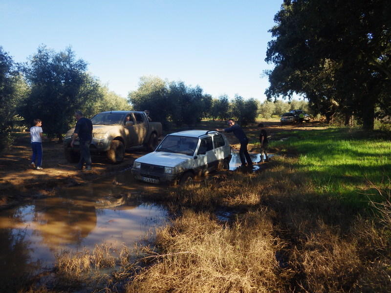 BMPS2350
