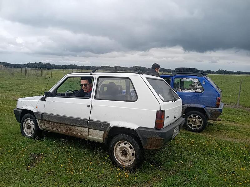 26