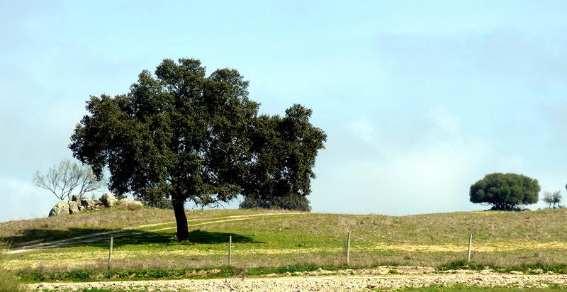 P1050552