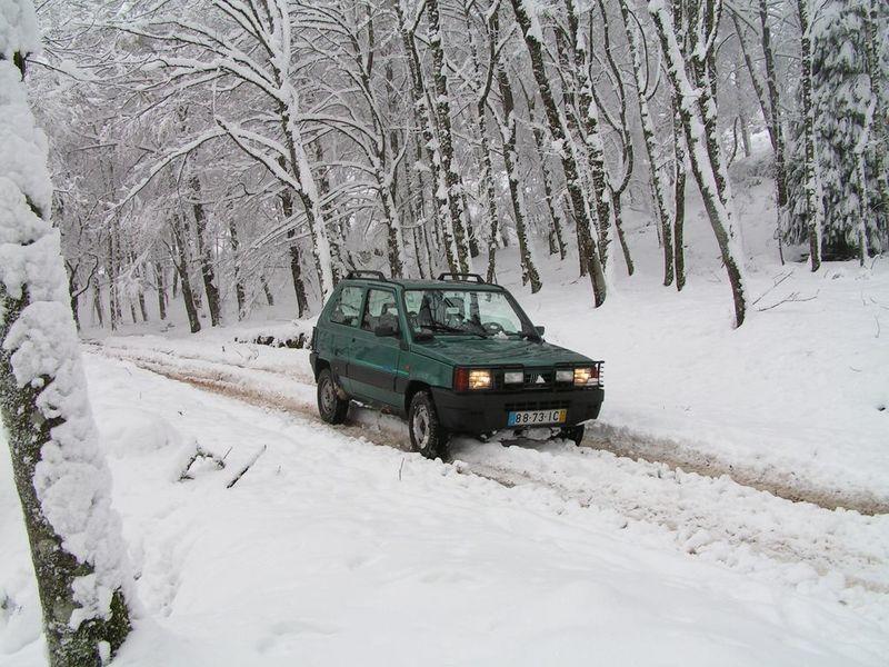 PICT3250.JPG