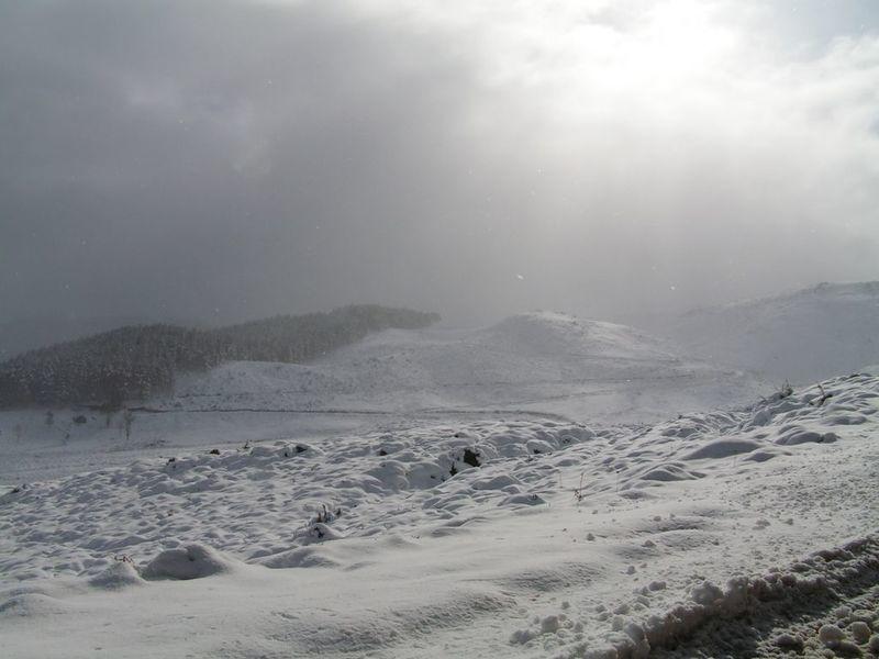 PICT3297.JPG