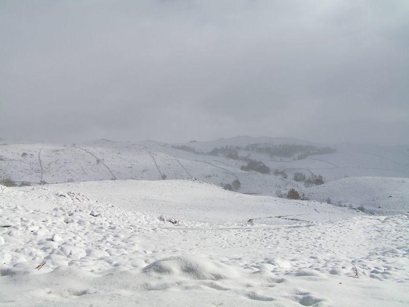 PICT3298.JPG
