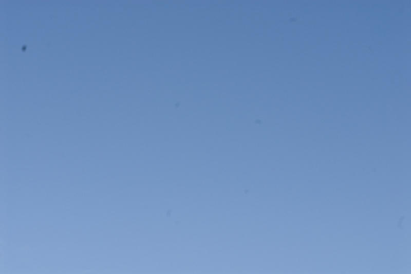 13428-20100906