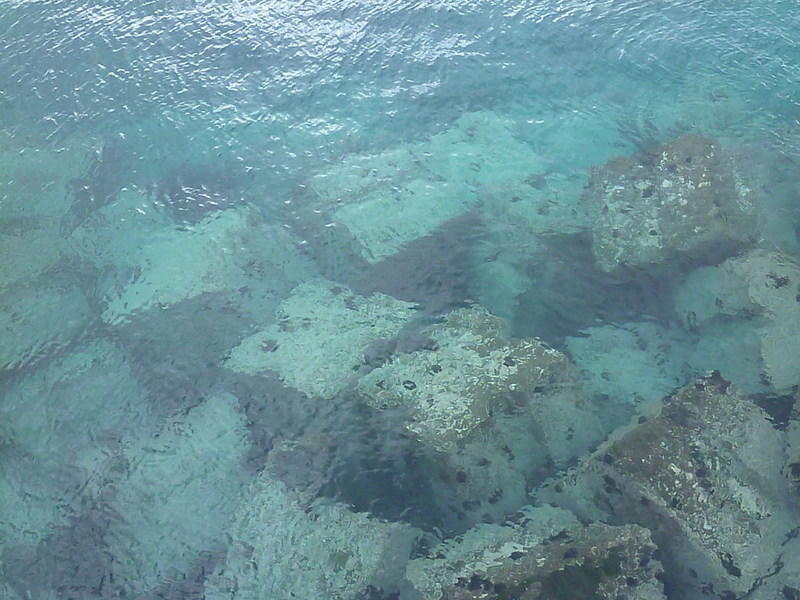 P1060404.JPG