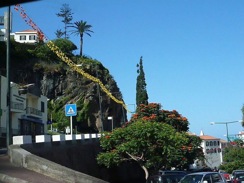 P1060505.JPG