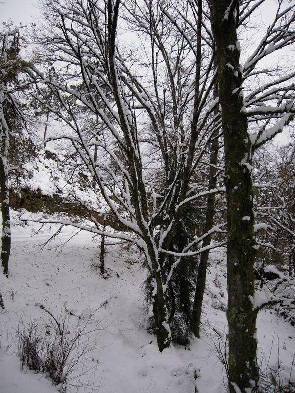 DSCN0428.JPG