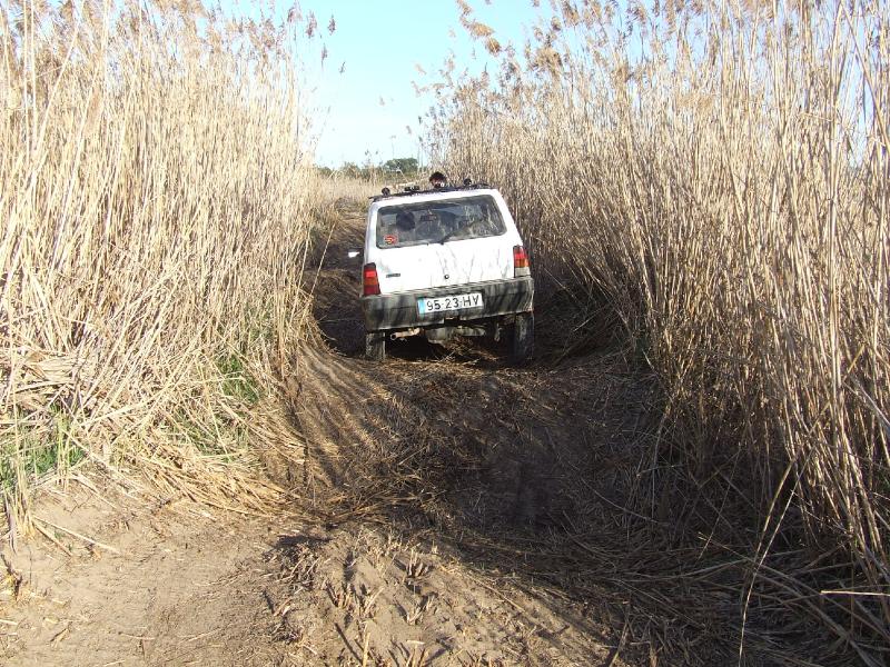 DSCF0363.jpg