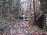 DSC00010_001.jpg