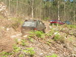 PICT0453.JPG