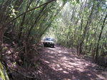PICT0460.JPG