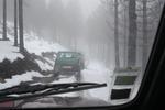 IMG 0012